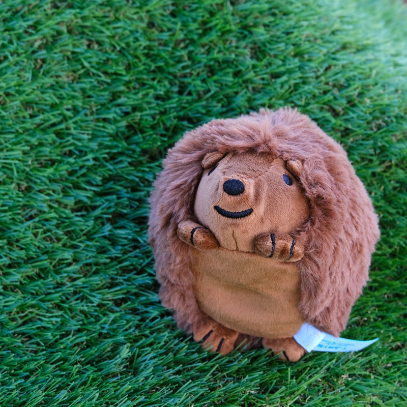 ӡ󥺥쥯 ̤ Ϥͤ [778636][miffy][Dick Bruna]