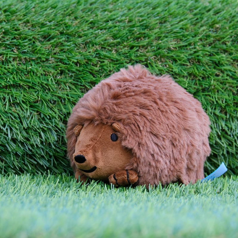 ӡ󥺥쥯 ̤ Ϥͤ [778636][miffy][Dick Bruna]