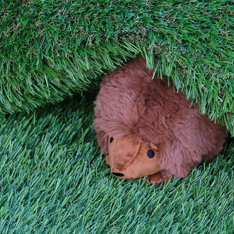 ӡ󥺥쥯 ̤ Ϥͤ [778636][miffy][Dick Bruna]