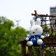 [608461] ޥåȥ miffy Flower Dress [miffy][Dick Bruna]