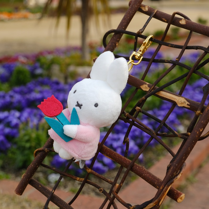 ����ä��ꥵ�󥭥塼�ޥ����å� �ߥåե����֥롼�� �֤����塼��å� [175985][miffy][Dick Bruna]