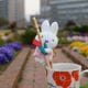����ä��ꥵ�󥭥塼�ޥ����å� �ߥåե����֥롼�� �֤����塼��å� [175985][miffy][Dick Bruna]