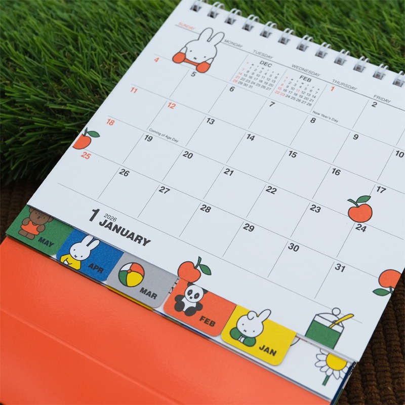 ǥå֥롼 2026 ɳݤ С֥奫 [31BCA-2][miffy][Dick Bruna]