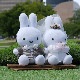[670659] Brunaǥ󥰥ɡ  [Dick Bruna][miffy][wf]