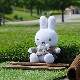 [670659] Brunaǥ󥰥ɡ  [Dick Bruna][miffy][wf]