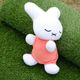 ���䤹��ե���M������ �̤������ 70th�ʥ������ [792205][miffy][Dick Bruna]