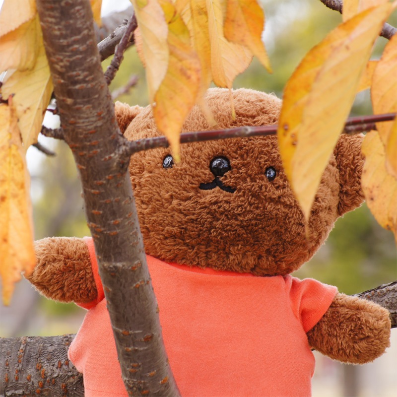 [601189] �ǥ��å����֥롼�� �ܥꥹ�٥� �̤������ [miffy][Dick Bruna]