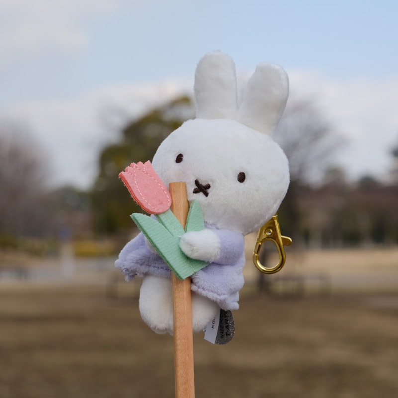 ����ä��ꥵ�󥭥塼�ޥ����å� �ߥåե��� �֤����塼��å� [779411][miffy][Dick Bruna]