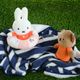 �⤭�ط����㡼�� �ԥ� �ߥåե��� [MIFF-257A][miffy][Dick Bruna]
