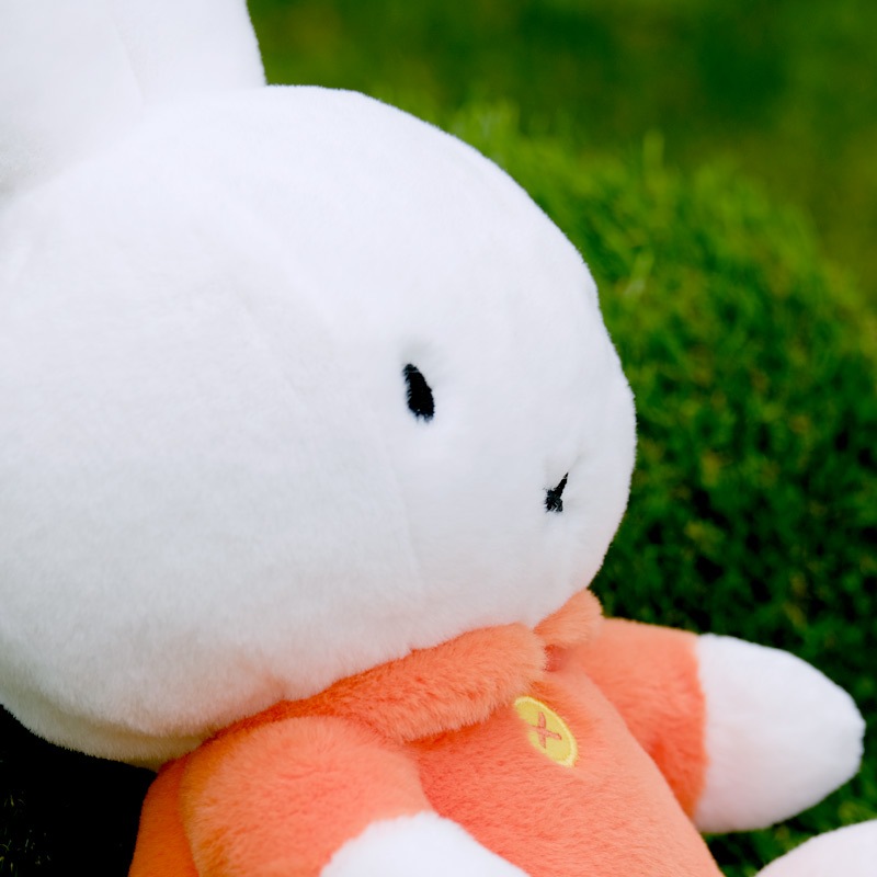 [600533] �դ��̤������ �ߥåե��� [miffy][Dick Bruna]