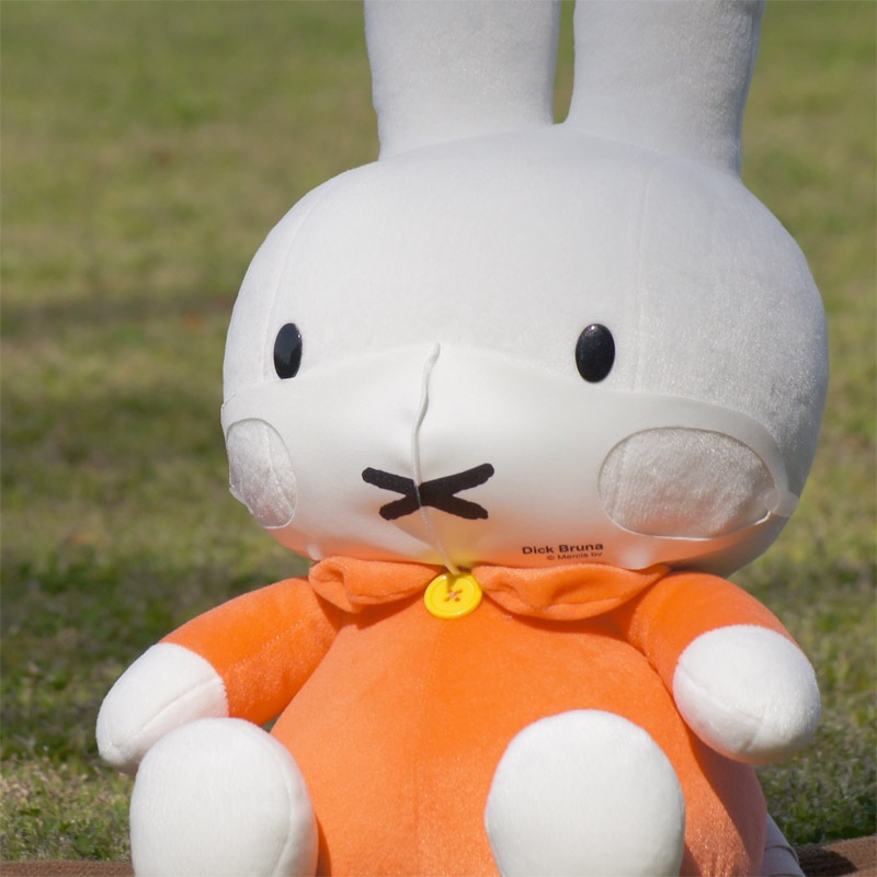 [PG91009000]ñʡ  100ޥ ߥåե ФäƤ ۥ磻 DB0653 [miffy][Dick Bruna]