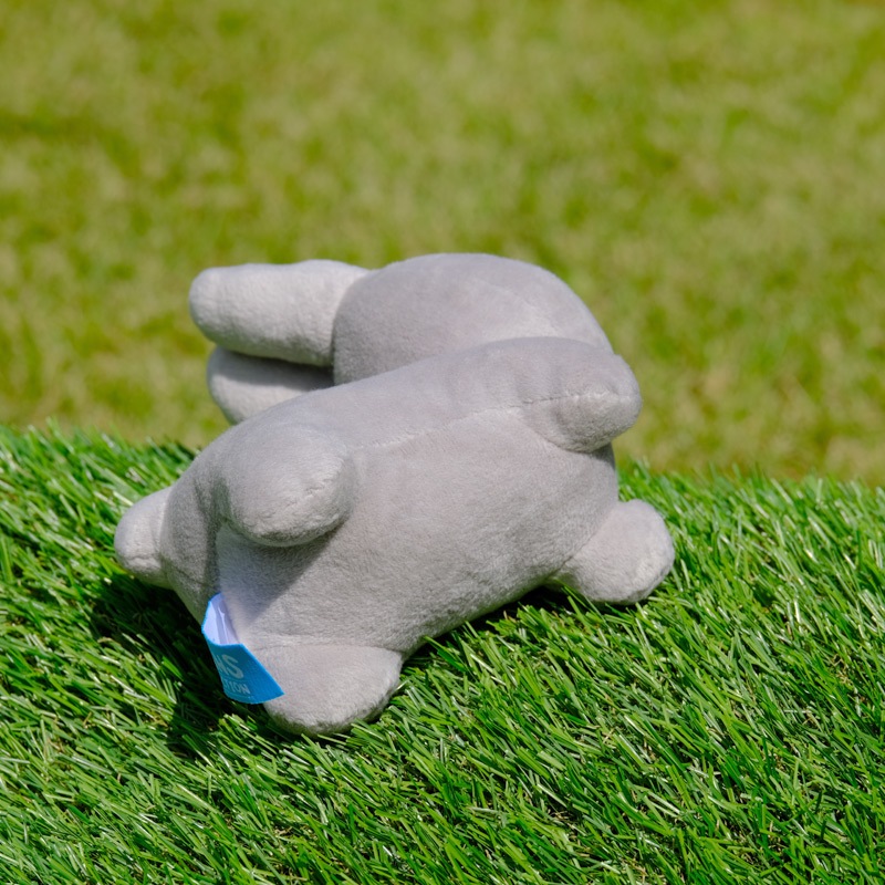 ӡ󥺥쥯 ̤  졼 [749735][miffy][Dick Bruna]