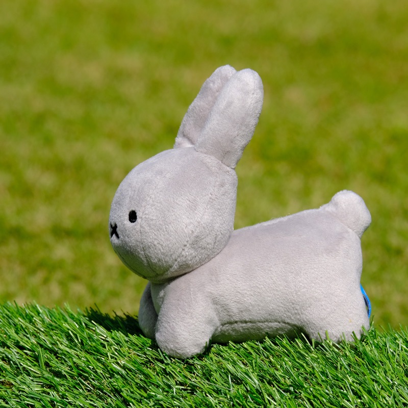 ӡ󥺥쥯 ̤  졼 [749735][miffy][Dick Bruna]