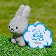 ӡ󥺥쥯 ̤  졼 [749735][miffy][Dick Bruna]