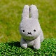 ӡ󥺥쥯 ̤  졼 [749735][miffy][Dick Bruna]