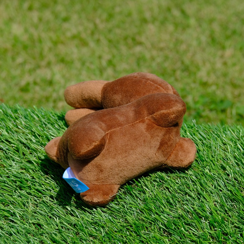 ӡ󥺥쥯 ̤  ֥饦 [749728][miffy][Dick Bruna]