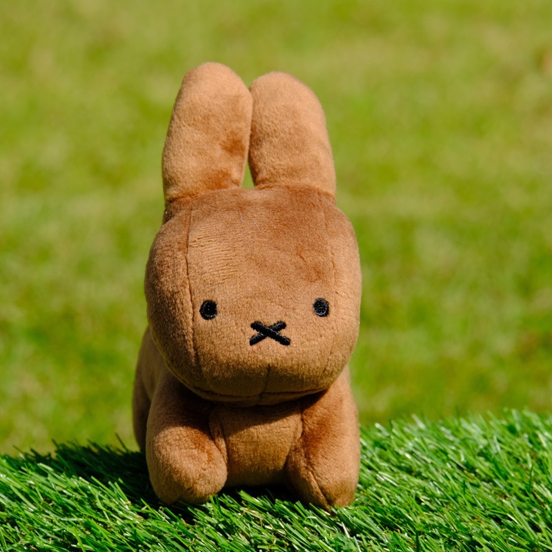 ӡ󥺥쥯 ̤  ֥饦 [749728][miffy][Dick Bruna]