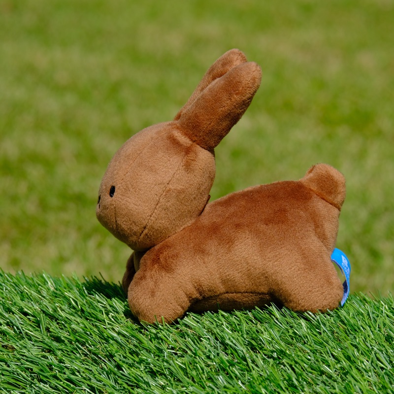 ӡ󥺥쥯 ̤  ֥饦 [749728][miffy][Dick Bruna]