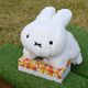 �̤�����ߥƥ��å��奫�С� �ǥ��å����֥롼�� ���������� �ۥ磻�� [6925257][miffy][Dick Bruna]