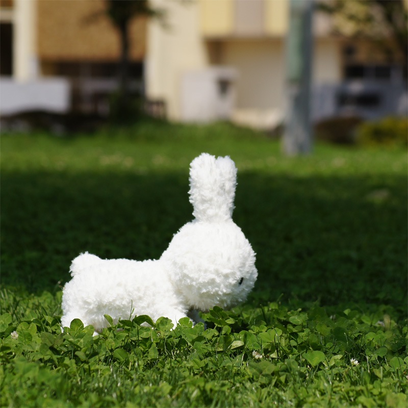 [615150] �֥롼�ʥե��ߥ꡼ ���ä���ͤ��٤� ���������� [miffy][Dick Bruna]