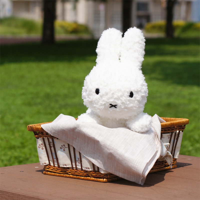 [615150] �֥롼�ʥե��ߥ꡼ ���ä���ͤ��٤� ���������� [miffy][Dick Bruna]