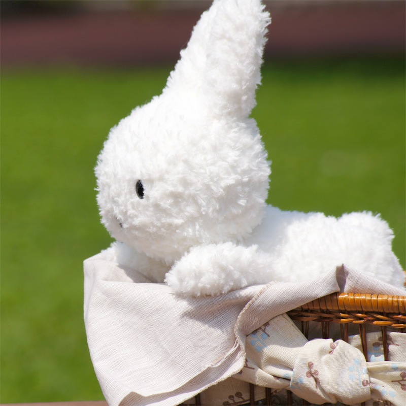 [615150] �֥롼�ʥե��ߥ꡼ ���ä���ͤ��٤� ���������� [miffy][Dick Bruna]