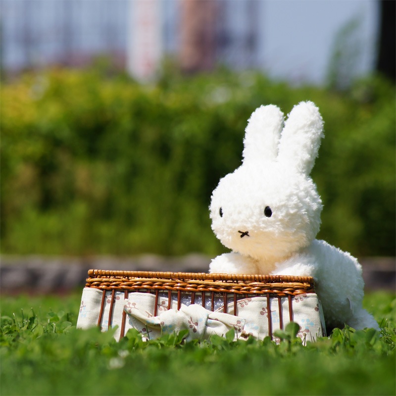 miffy (ミッフィー)・Dick Bruna キャラクターグッズの通販専門店