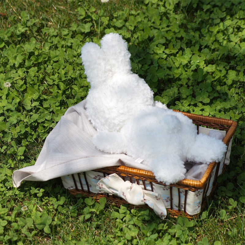 [615150] �֥롼�ʥե��ߥ꡼ ���ä���ͤ��٤� ���������� [miffy][Dick Bruna]