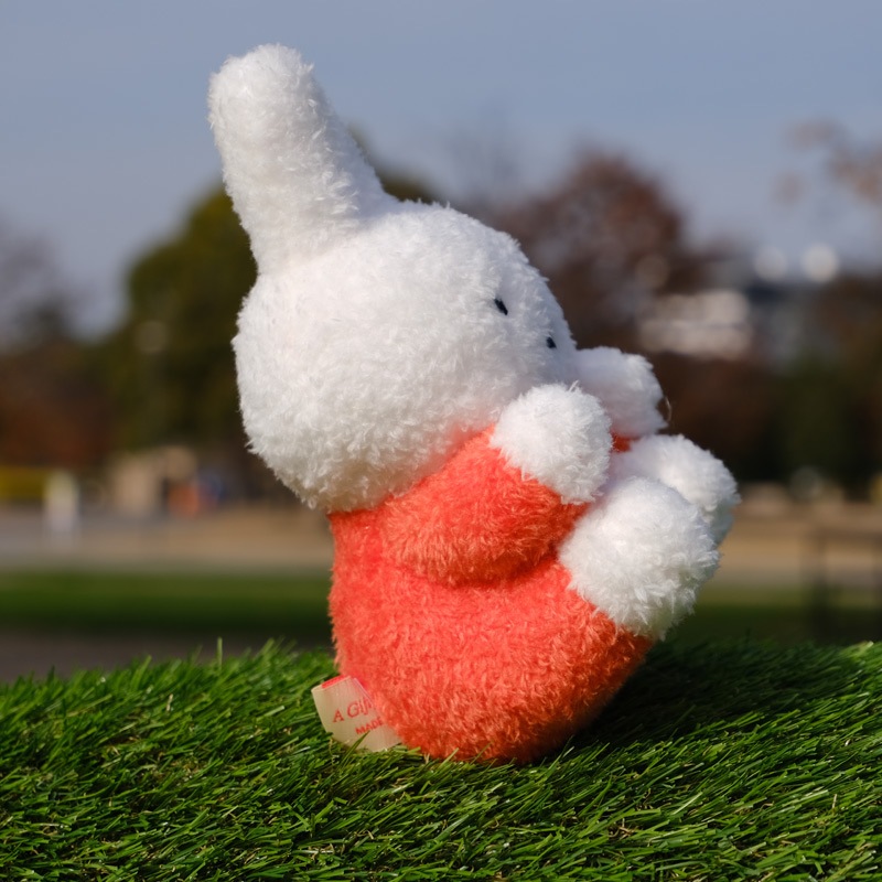 [610563] �������̤������ �ߥåե��� [miffy][Dick Bruna]