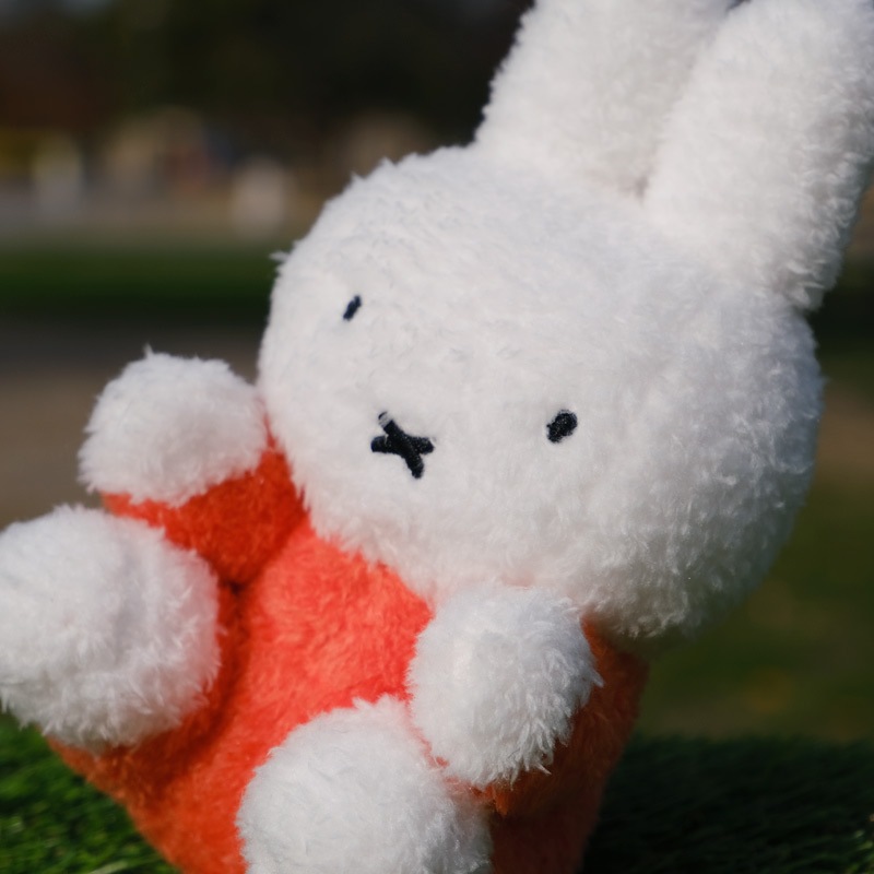 [610563] �������̤������ �ߥåե��� [miffy][Dick Bruna]
