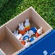 [DB2100] �ȥ쥤���դ���ǼȢ MIFFY and ROSE [miffy][Dick Bruna]