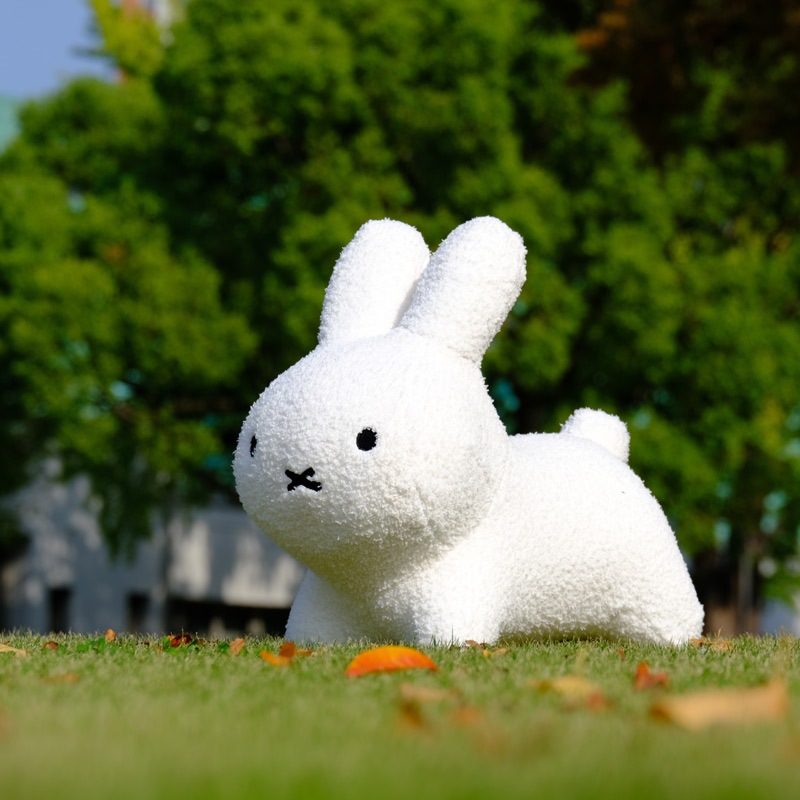 [06521] ֥롼ʥܥܥ դ⥳  쥮顼 ۥ磻 [miffy][ides][wf]
