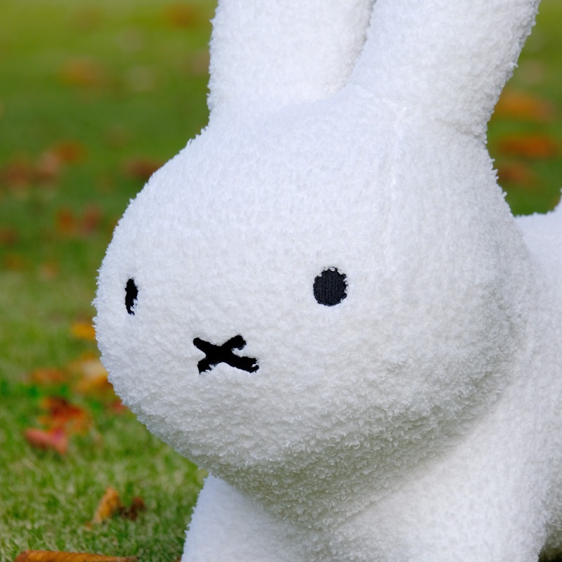 [06521] ֥롼ʥܥܥ դ⥳  쥮顼 ۥ磻 [miffy][ides][wf]