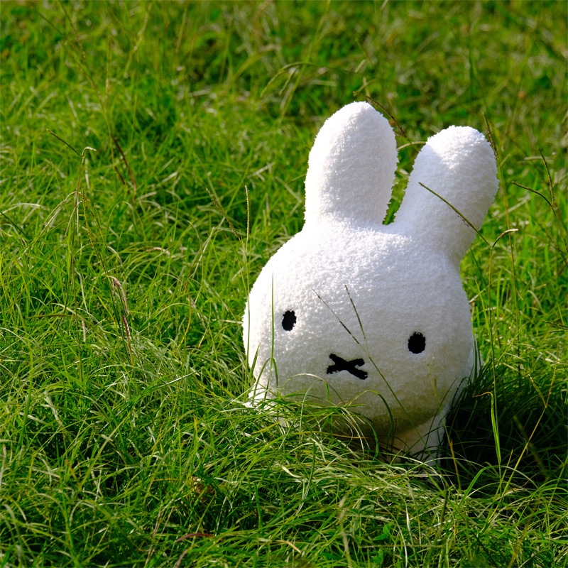 [06521] ֥롼ʥܥܥ դ⥳  쥮顼 ۥ磻 [miffy][ides][wf]