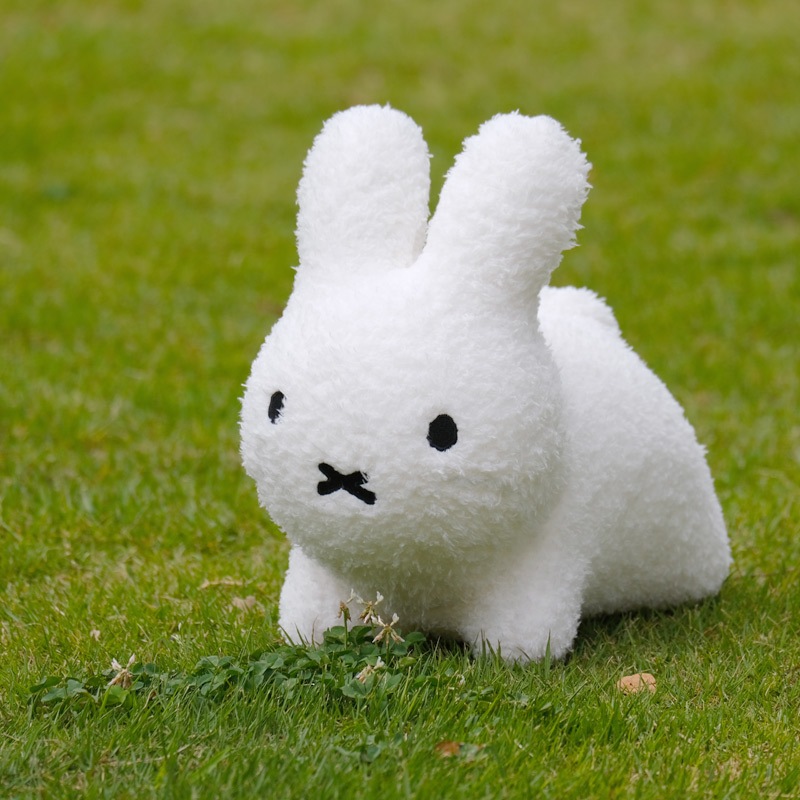 [06650] �֥롼�ʥܥ�ܥ� �դ�⥳ �ߥ� ���������� �ۥ磻�� [Bruna bon bon][miffy][ides]