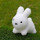 [06650] �֥롼�ʥܥ�ܥ� �դ�⥳ �ߥ� ���������� �ۥ磻�� [Bruna bon bon][miffy][ides]