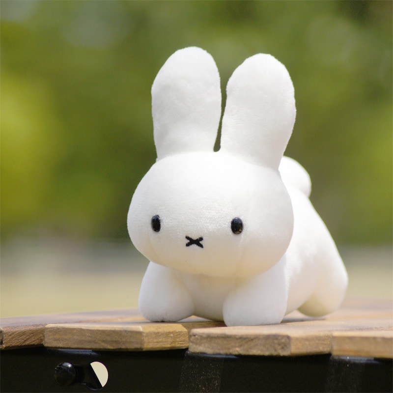 [660988] ֥롼ʥեߥ꡼ ̤  SS [miffy][Dick Bruna]