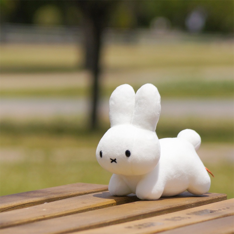 [660988] ֥롼ʥեߥ꡼ ̤  SS [miffy][Dick Bruna]