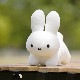[660988] ֥롼ʥեߥ꡼ ̤  SS [miffy][Dick Bruna]