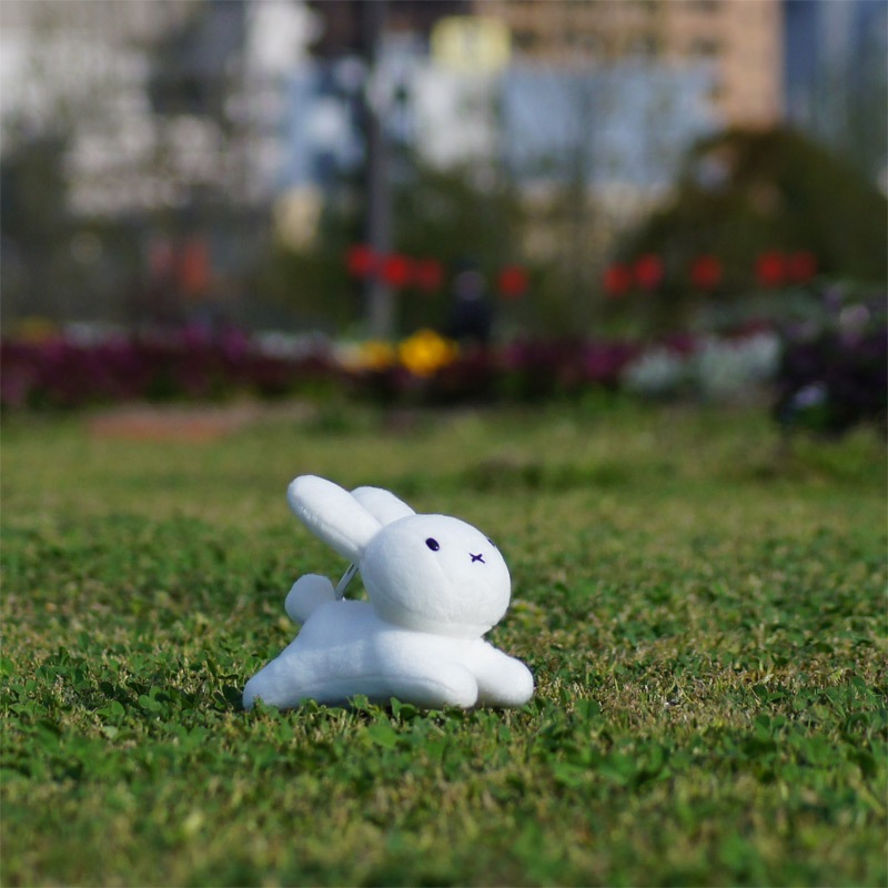 [609772] �֥롼�ʥե��ߥ꡼ �̤�����ߥѥ������� ������ [miffy][Dick Bruna]