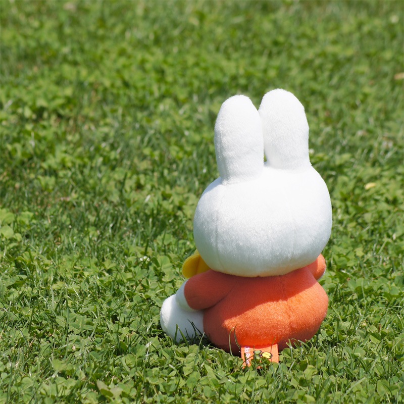 [666898] ���ޤ���������ߥåե��� �̤������ [miffy][Dick Bruna]