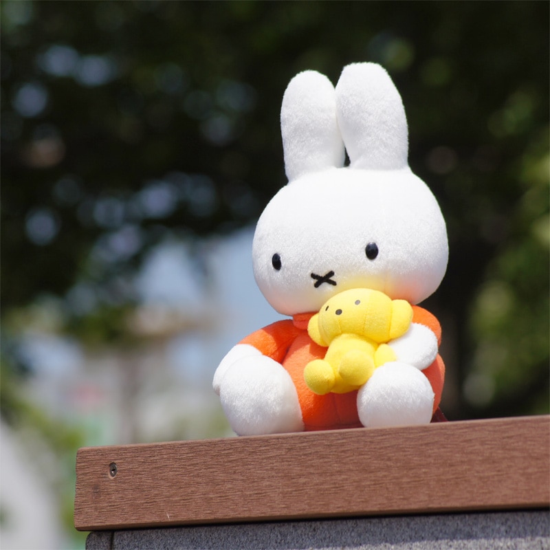 [666898] ���ޤ���������ߥåե��� �̤������ [miffy][Dick Bruna]