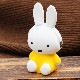 p+g design ΩΥꥳ󤬤ޤ 3D POCHI ߥåե  [miffy][Dick Bruna]