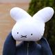 ϥߡå 70thʥ ۥ磻 [DBM-2839][miffy][Dick Bruna]