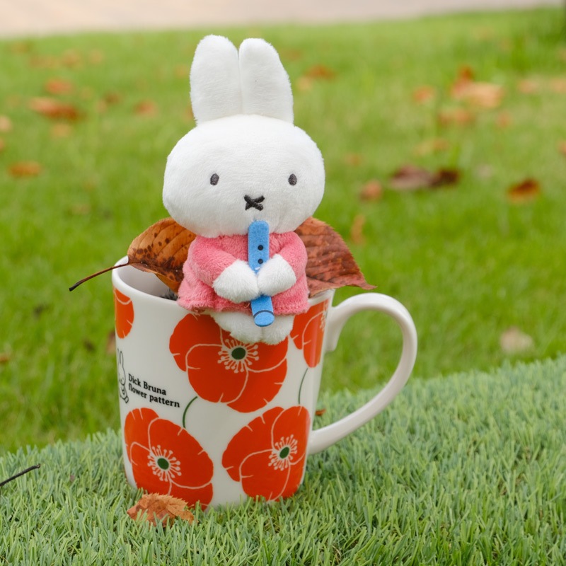 äꥭ㡼ޥå ߥåե ߥ塼å (Ŀū) [156359][miffy][Dick Bruna]