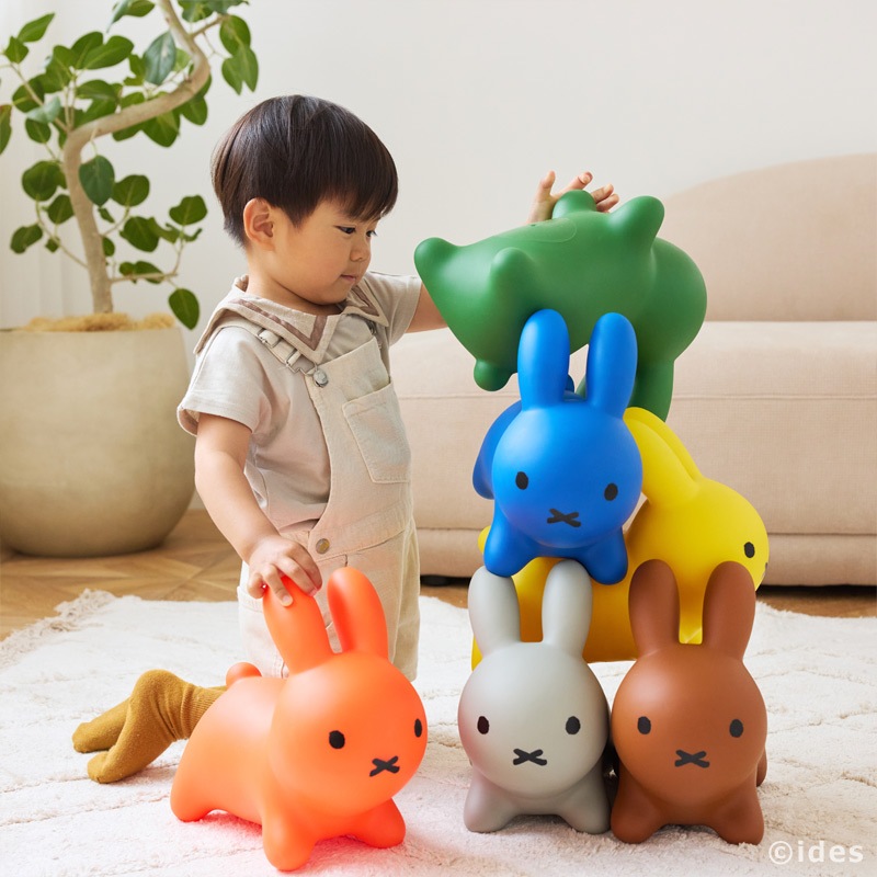 [06635] ֥롼ʥܥܥ ߤ 3 ५顼BOX [Bruna bon bon][miffy][ides]