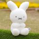[608478] 70th �ʥ������ �̤������ [miffy][Dick Bruna]