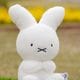 [608478] 70th �ʥ������ �̤������ [miffy][Dick Bruna]