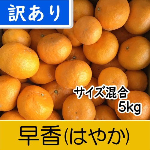 【南三重産】早香(はやか)_訳あり_サイズ混合_5kg箱入～冬みかんの次はコレ♪～