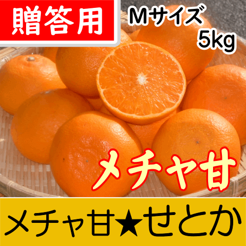 【南三重産】メチャ甘せとか_贈答用Mサイズ_5kg入～糖度12.5～14度光センサー撰果！実がずっしり！～
